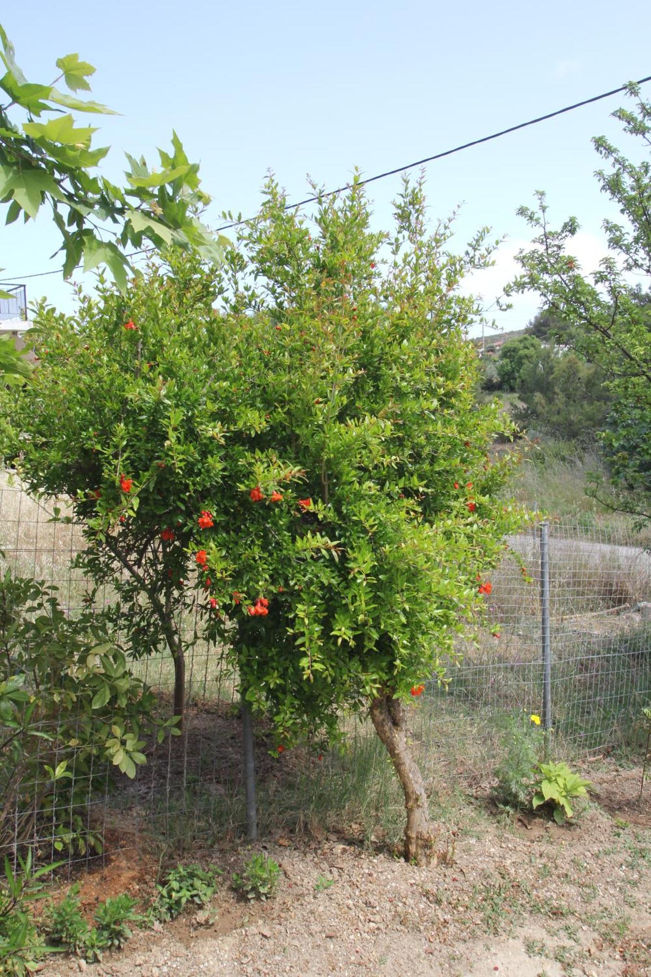 ארטמידה Filoxenia Apartment מראה חיצוני תמונה